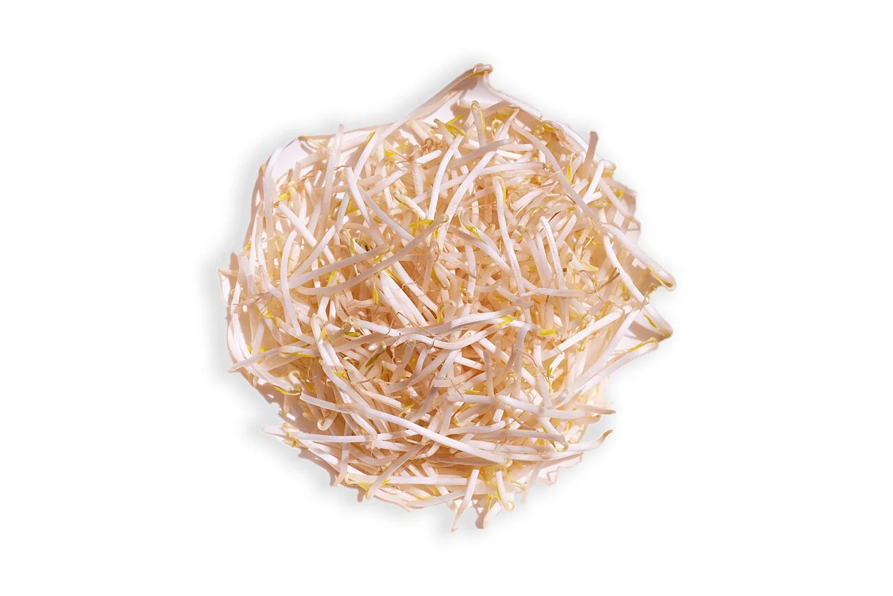 A pile of pale mung bean sprouts with small yellow-green tips is shown against a plain white background.
