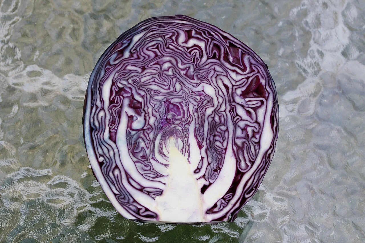 A halved red cabbage shows its purple and white internal layers.