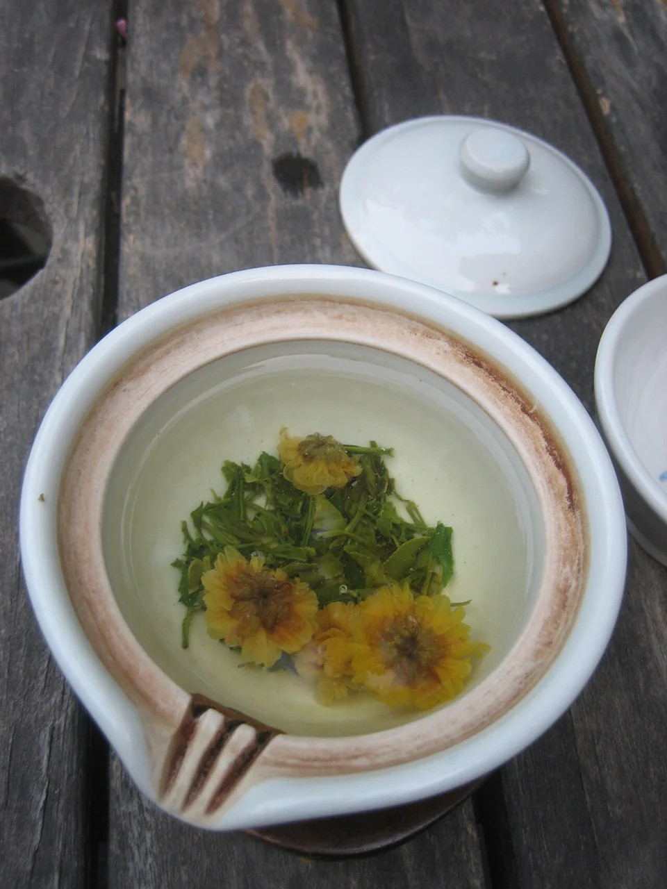 A white cup holds pale tea with yellow chrysanthemum flowers and green leaves.