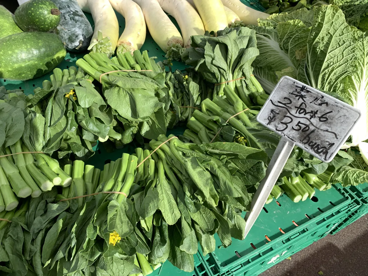 Bunches of choy sum displayed for sale at a market stall.