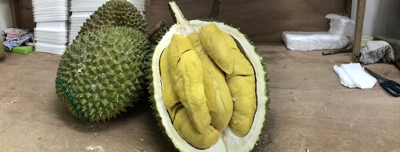 Durian — Photographed in Singapore