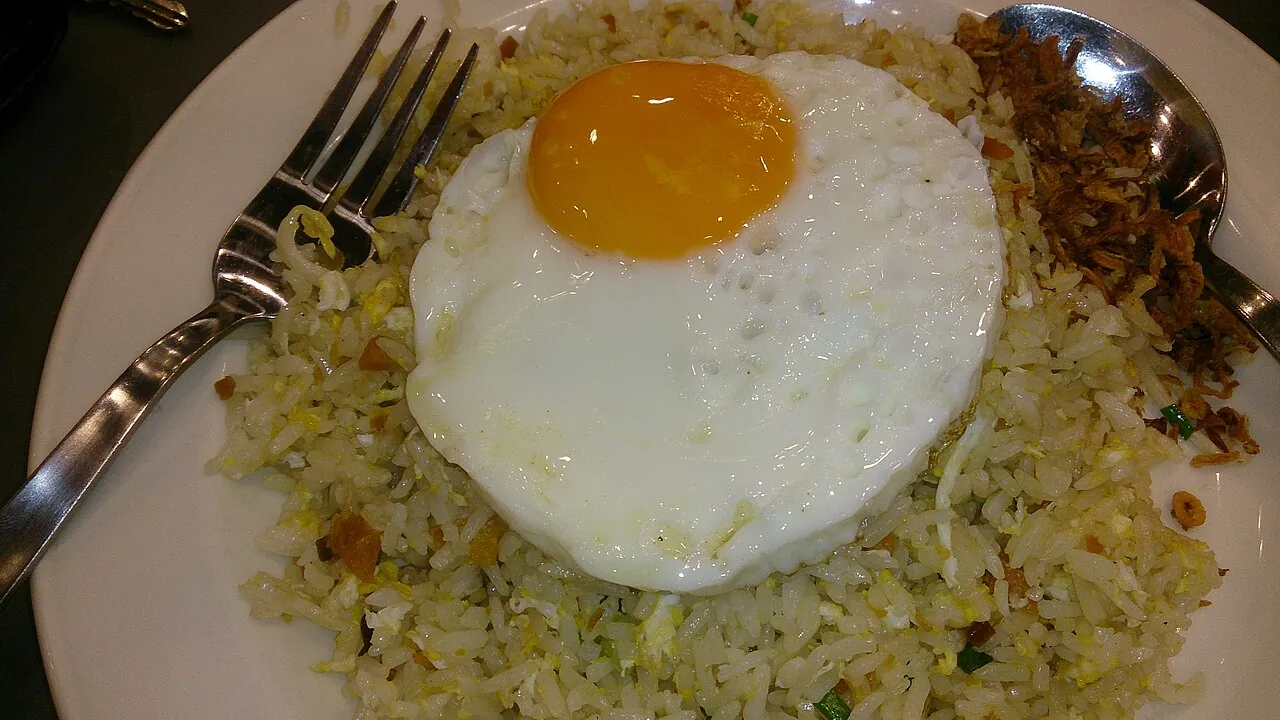 Fried rice — Photo location not recorded