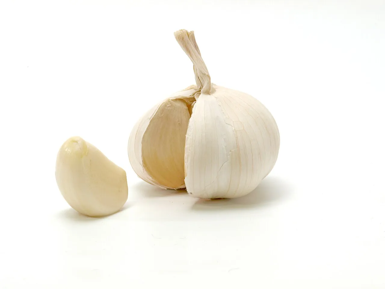 Garlic — Photo location not recorded