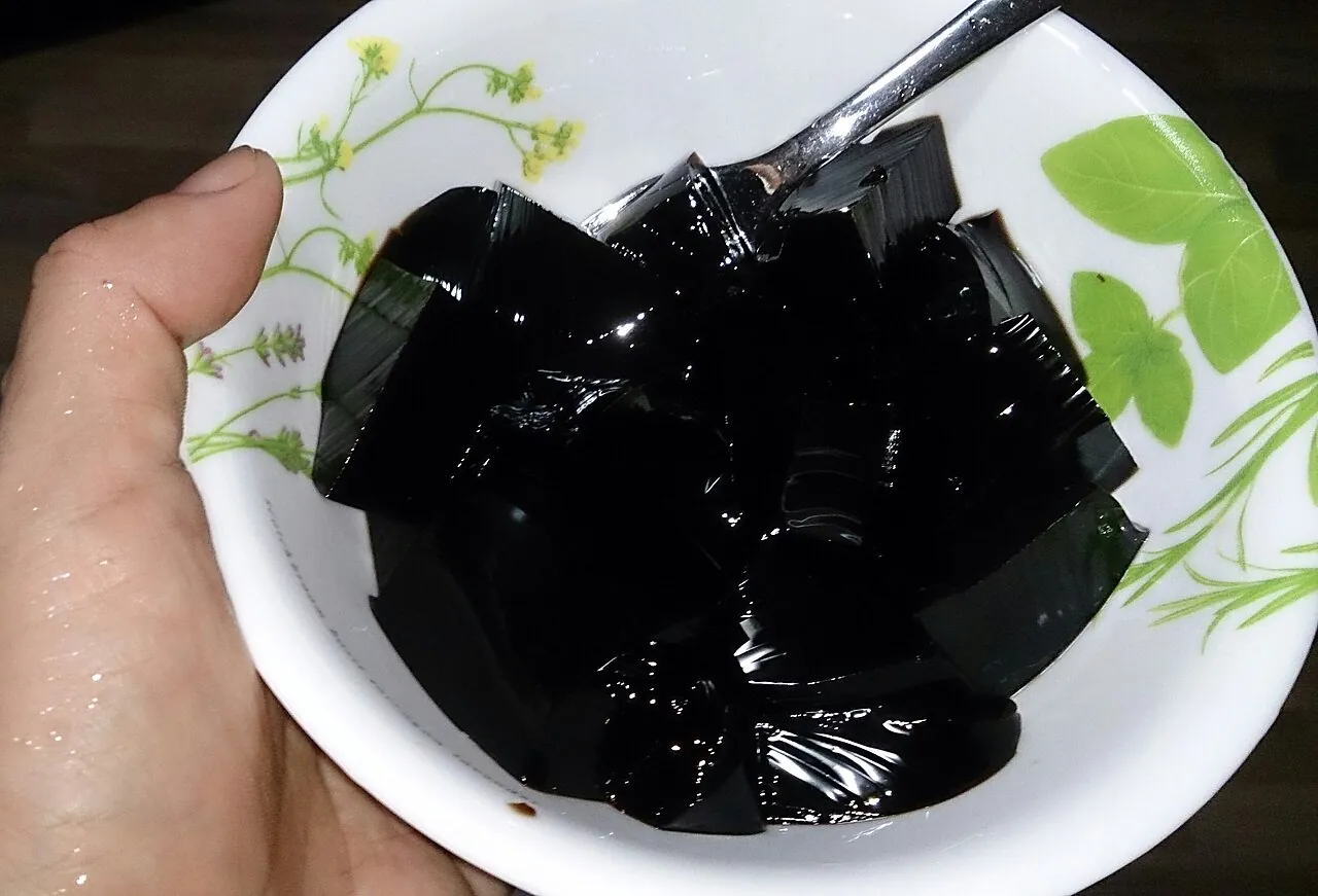 Grass jelly — Photo location not recorded