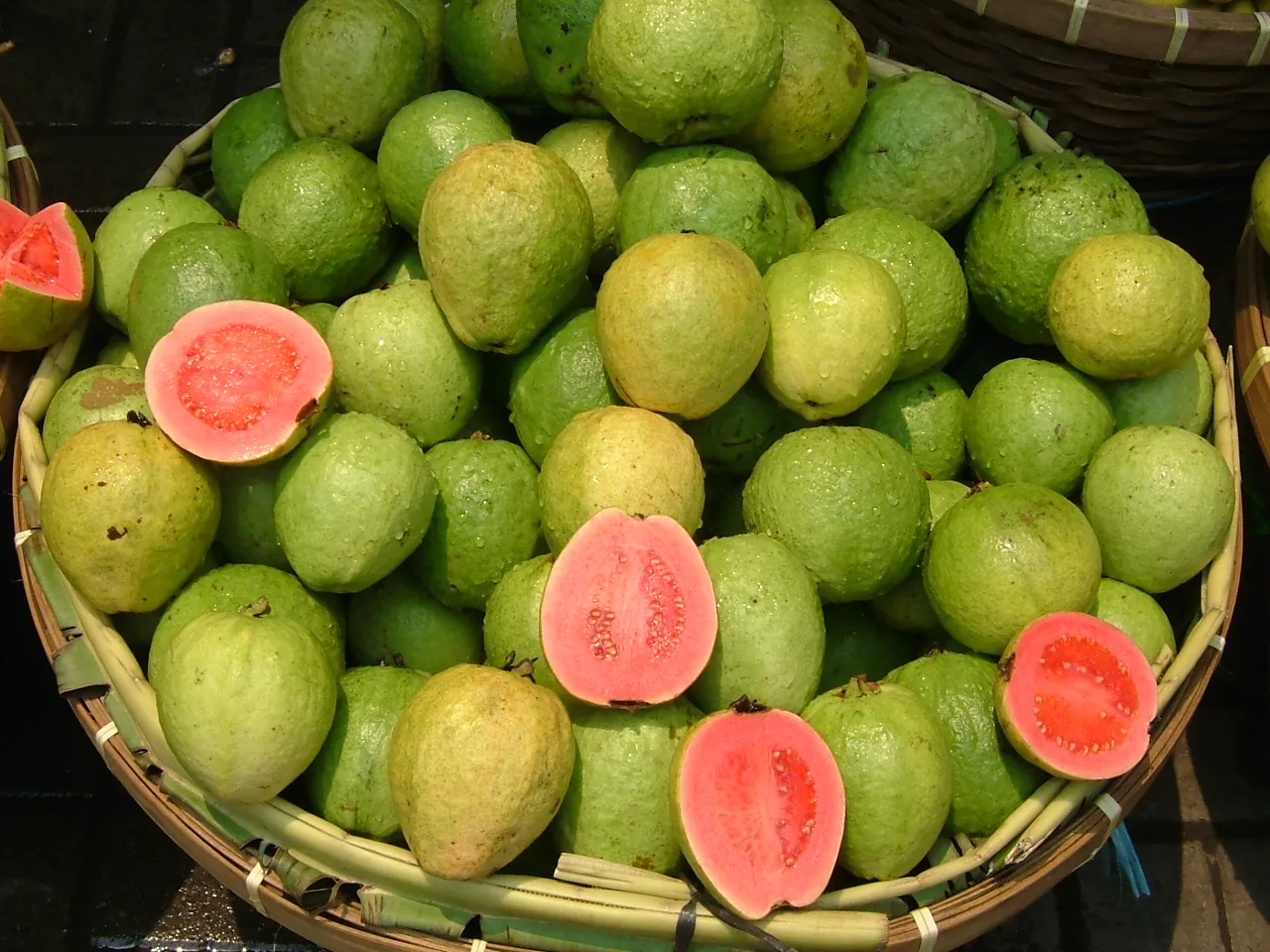 Guava — Photo from Indonesia