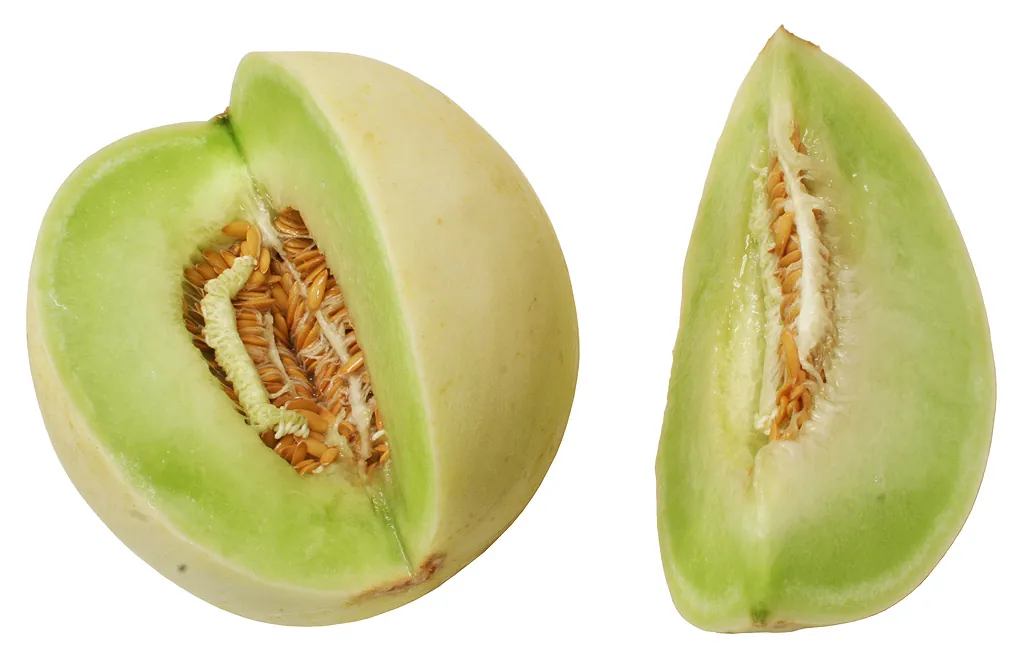 Honeydew — Photo location not recorded
