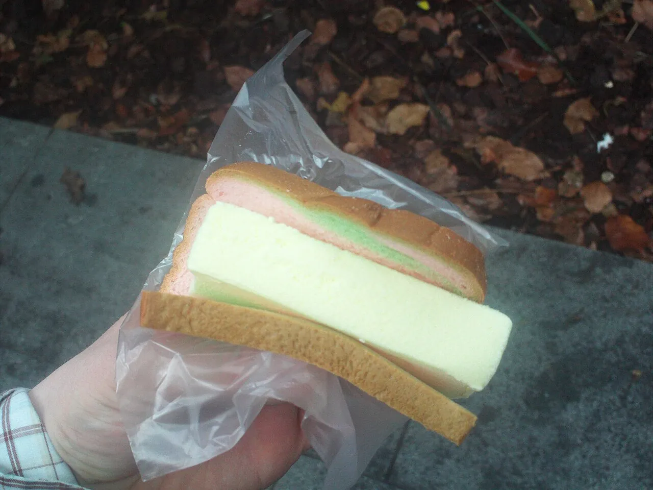 Ice cream sandwich — Photographed in Singapore