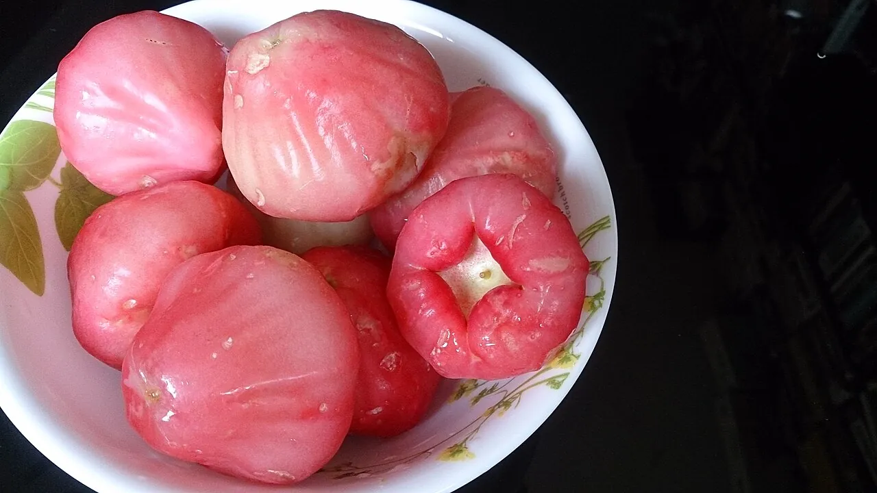 Water apple — Photo location not recorded