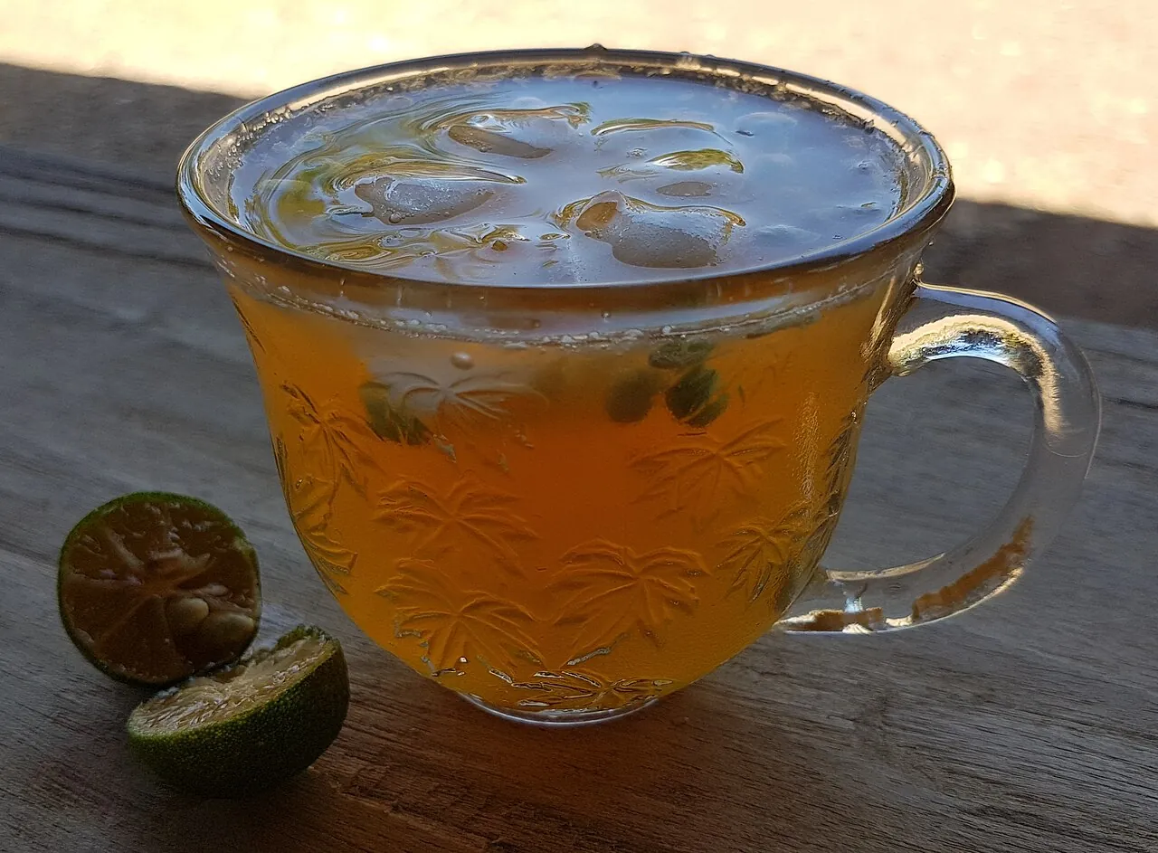 Lime juice — Photo location not recorded