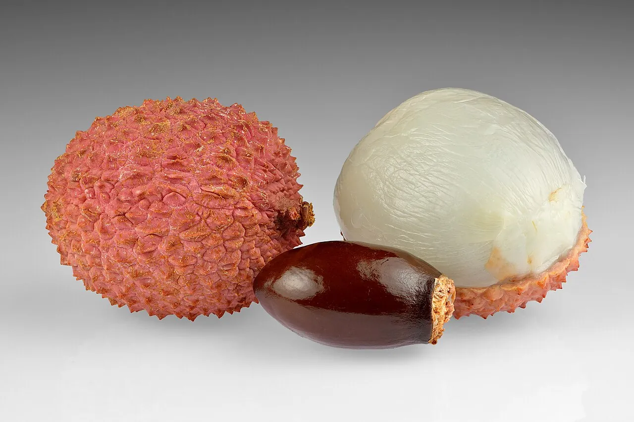 Lychee — Photo location not recorded