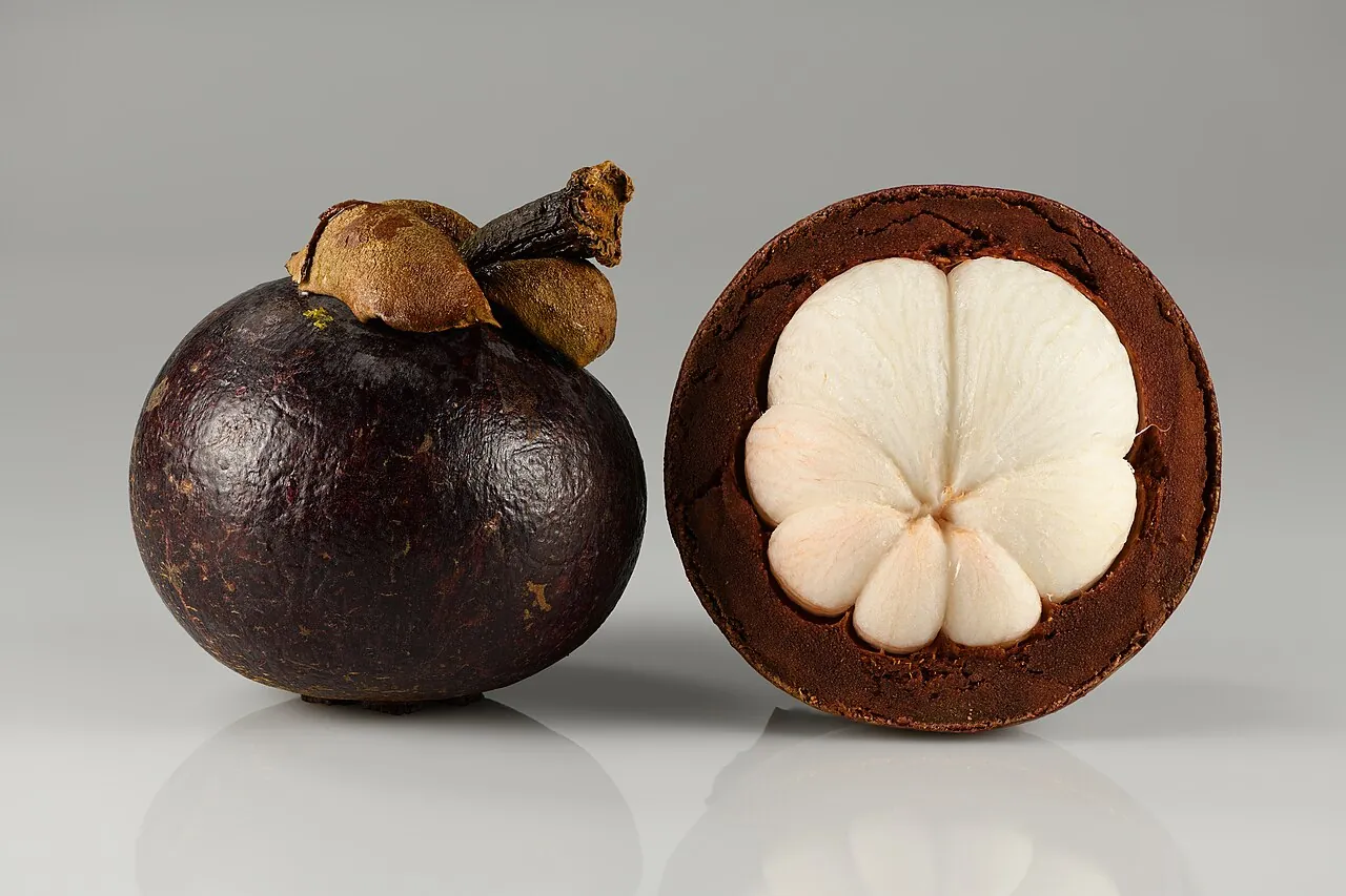 Mangosteen — Photo location not recorded