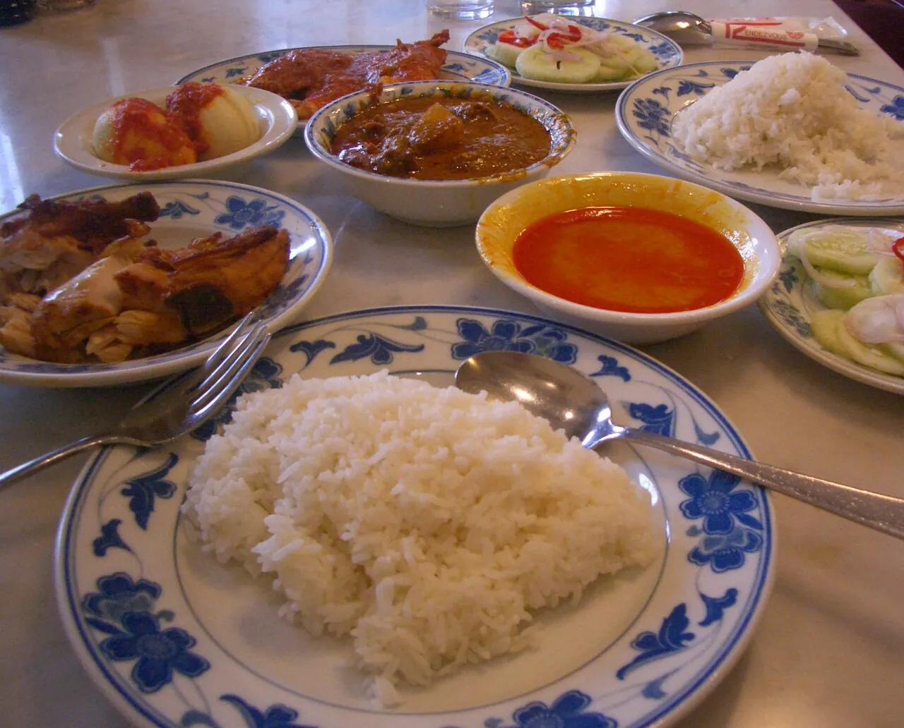 Nasi padang — Photographed in Singapore