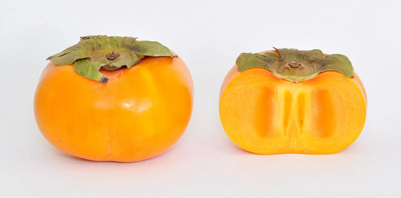 Persimmon — Photo location not recorded
