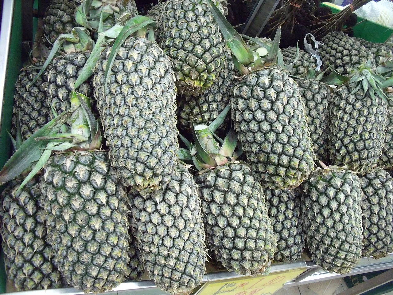 Pineapple — Photographed in Singapore