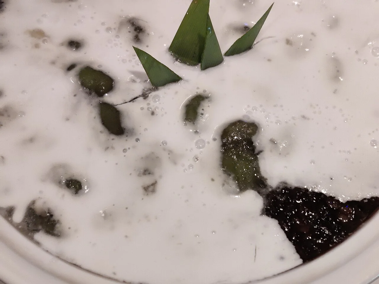 A bowl of black glutinous rice dessert with coconut milk and pandan leaves.