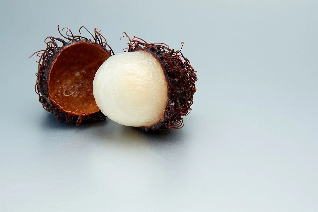 White rambutan flesh sits beside its opened red skin.