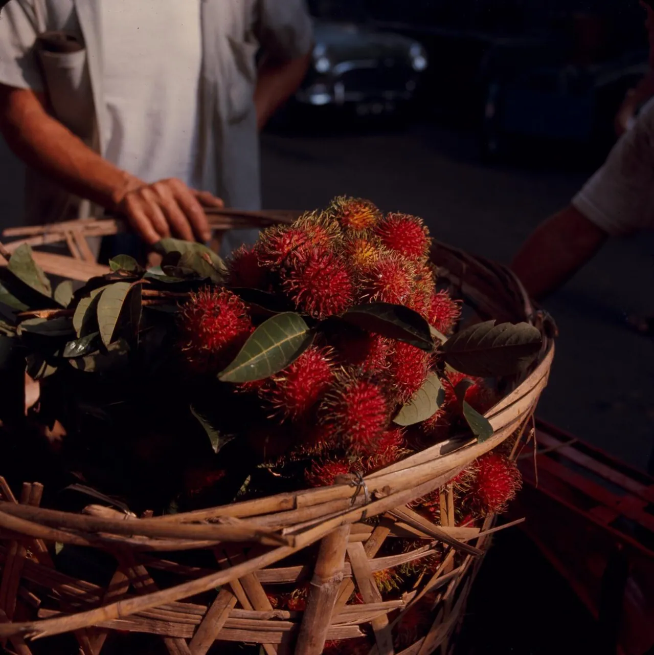 Rambutan — Photographed in Singapore