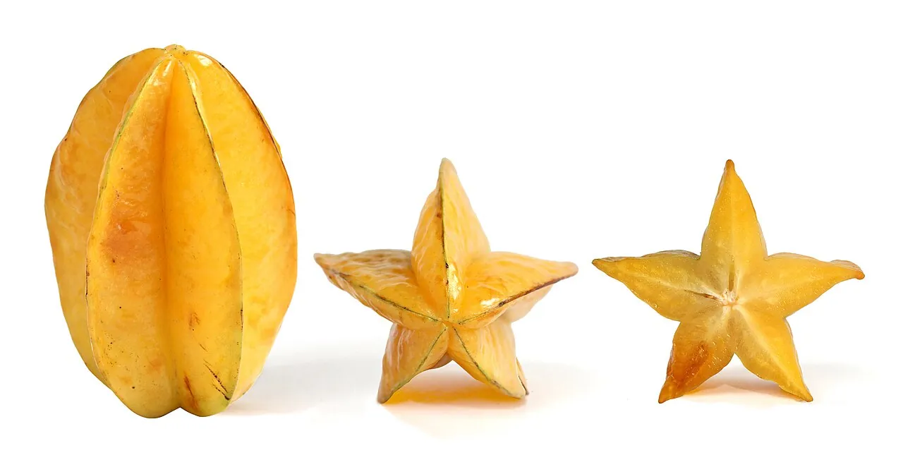 Starfruit — Photo location not recorded