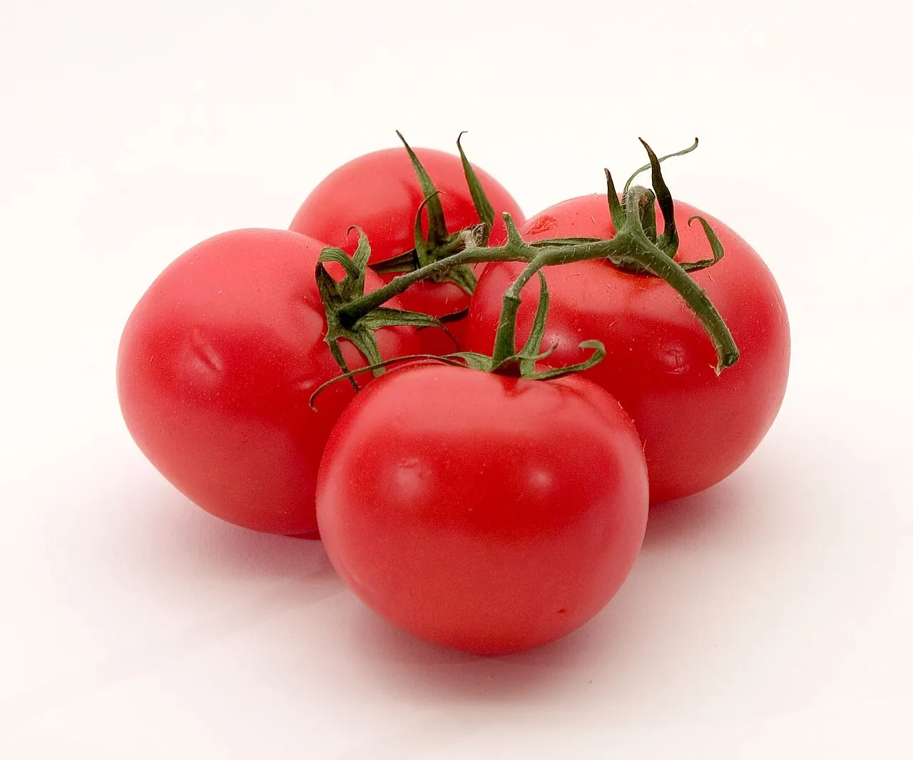 Tomato — Photo location not recorded