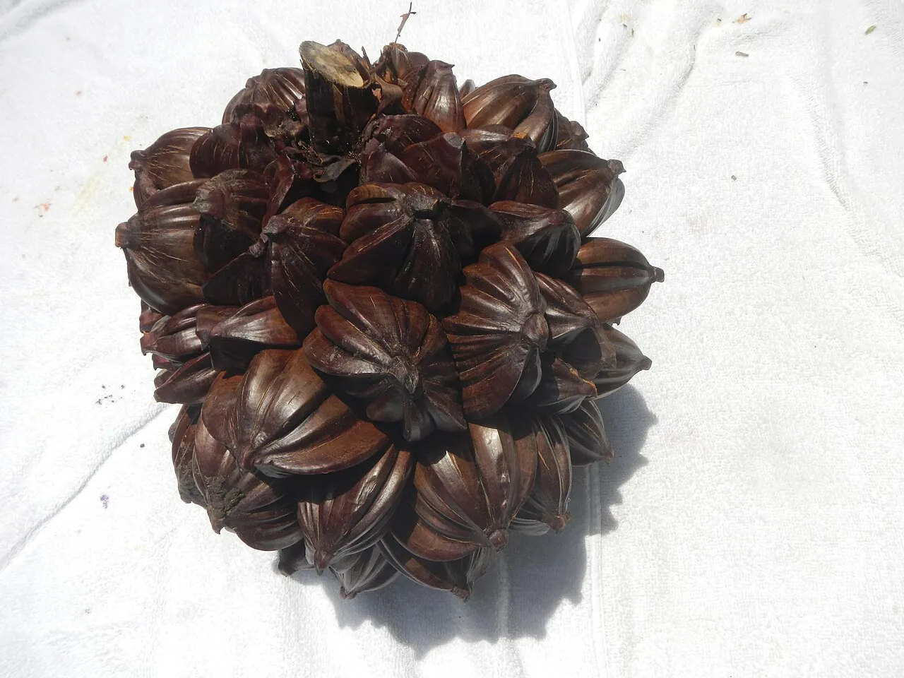 Attap chee — A whole cluster of nipa palm fruit, like a big brown ball.