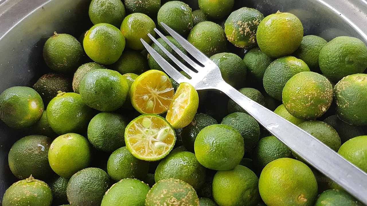 Calamansi — A heap of small green calamansi.