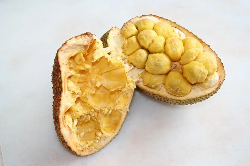 Cempedak — A cempedak opened, showing the yellow pieces inside.