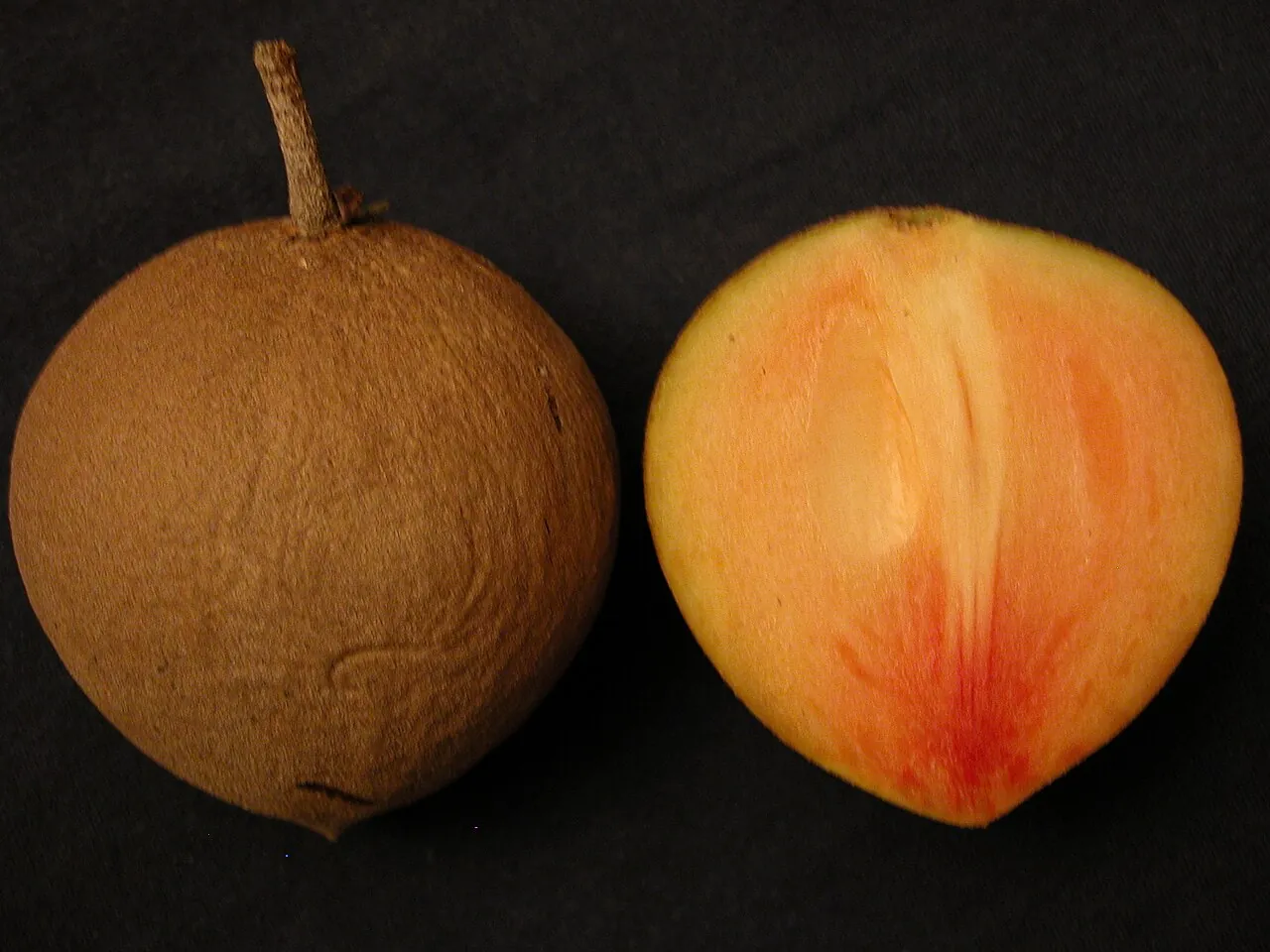 Chiku — A whole chiku beside one cut open, showing the soft brown fruit.