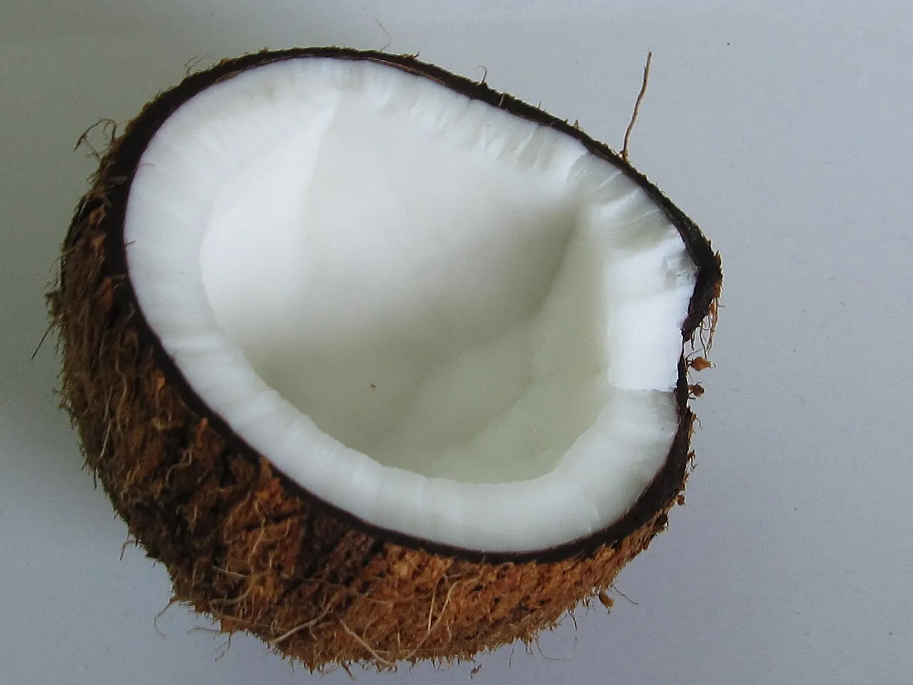 Coconut — A coconut opened, showing the white flesh inside.
