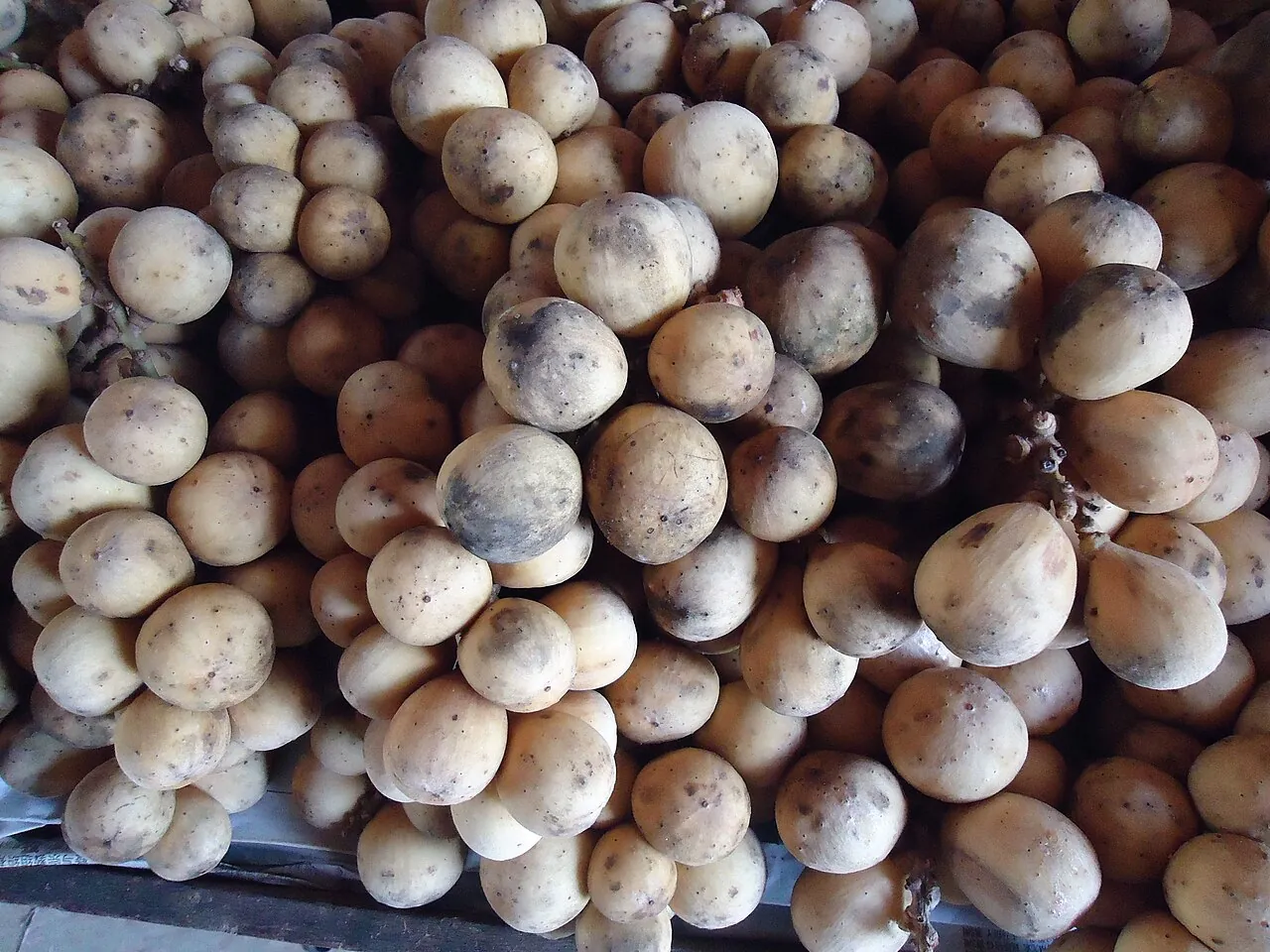 Duku langsat — A pile of pale yellow duku langsat.