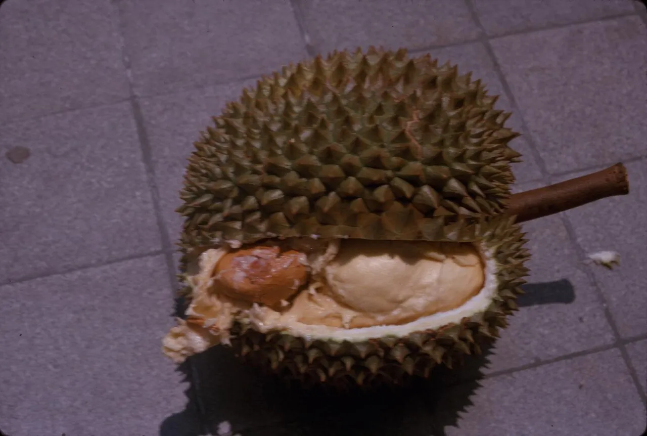 Durian — A durian opened up, showing the soft yellow pieces inside.