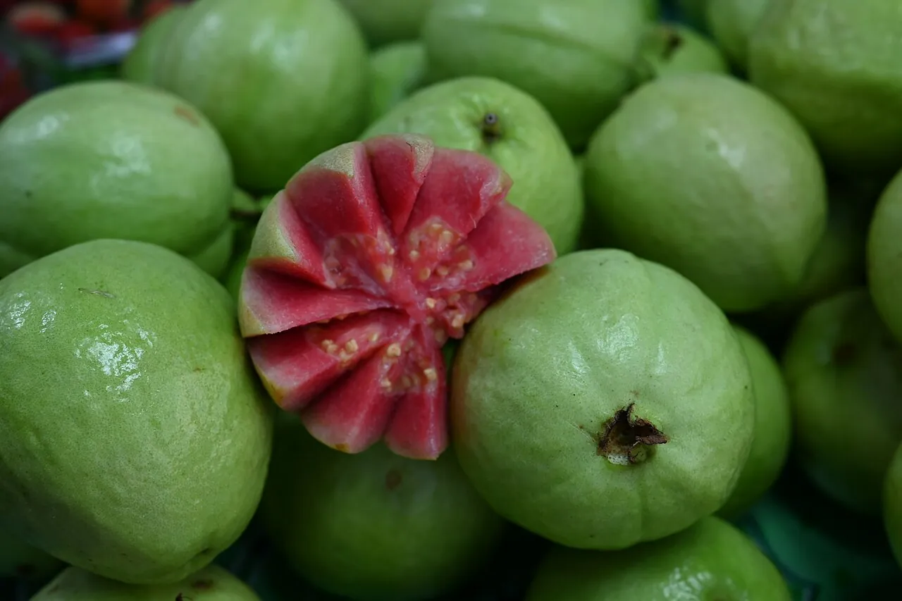 Guava — Green guavas with one cut open, showing pink fruit inside.