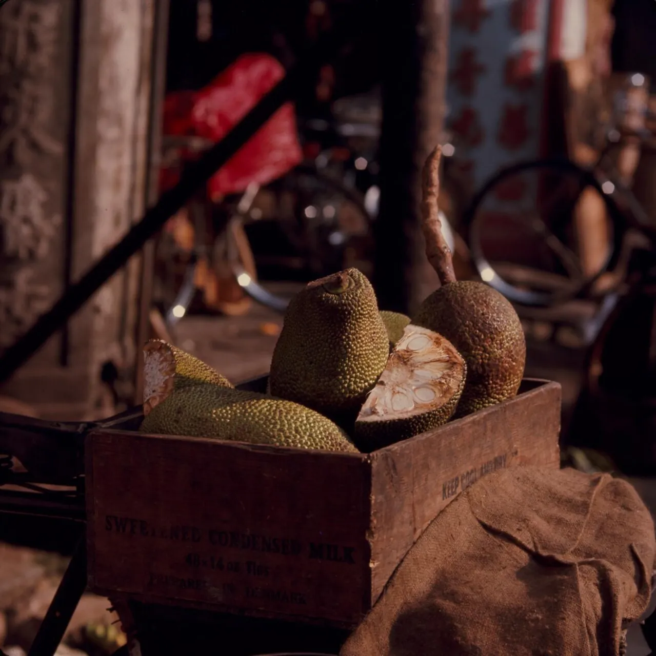 Jackfruit — Whole jackfruits in a wooden box on the back of a bicycle at a market.