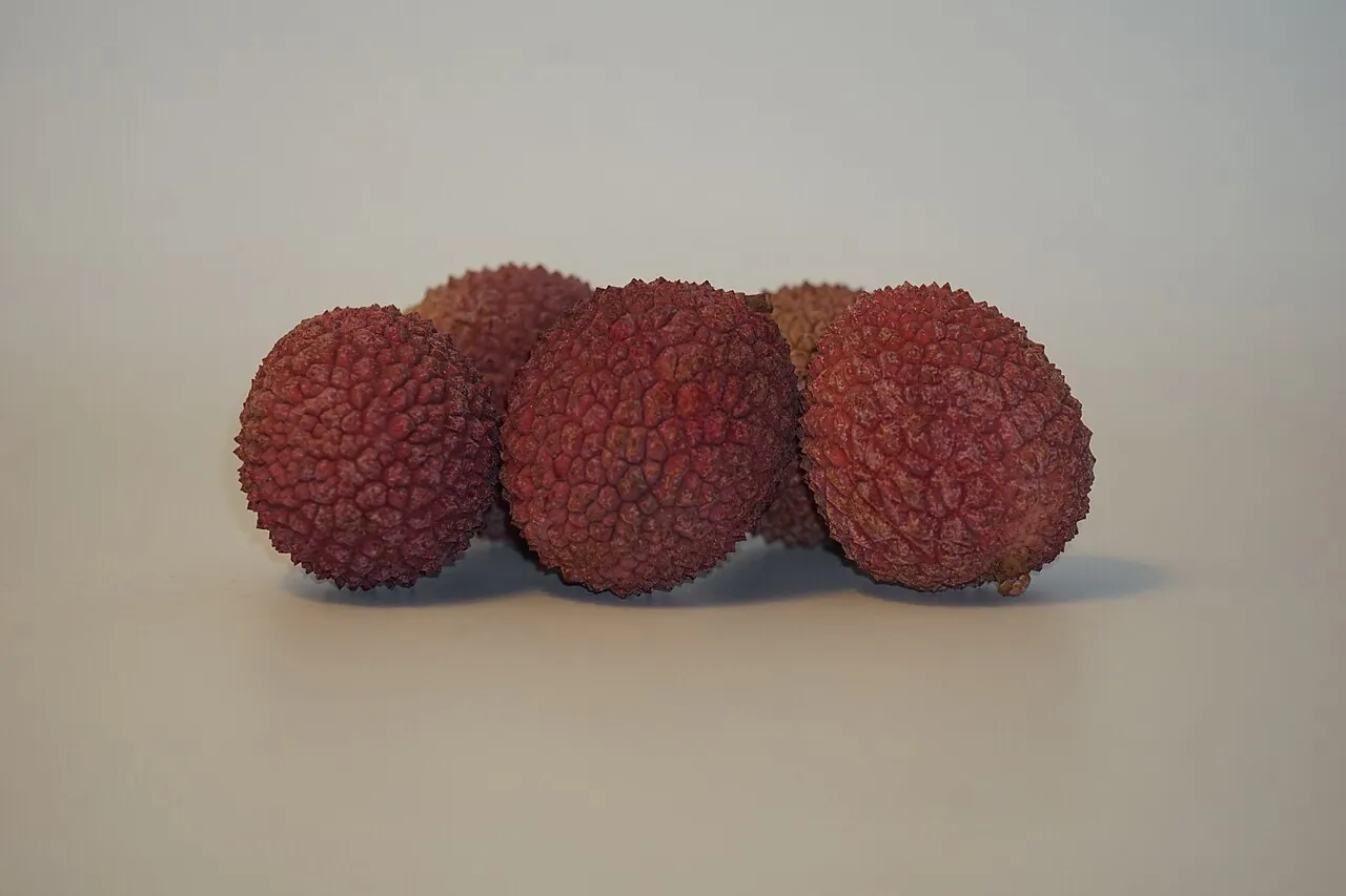 Lychee — Three pink lychees with their bumpy skin.