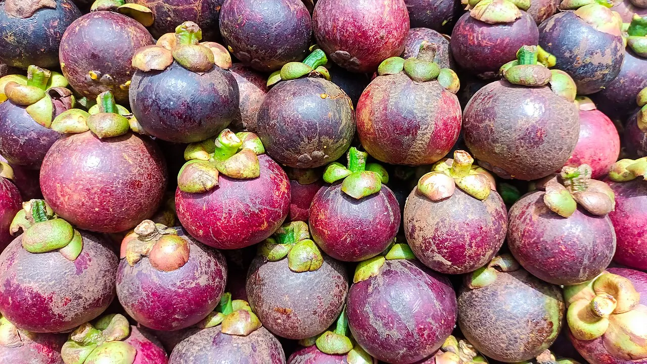 Mangosteen — A pile of round purple mangosteens with green tops.