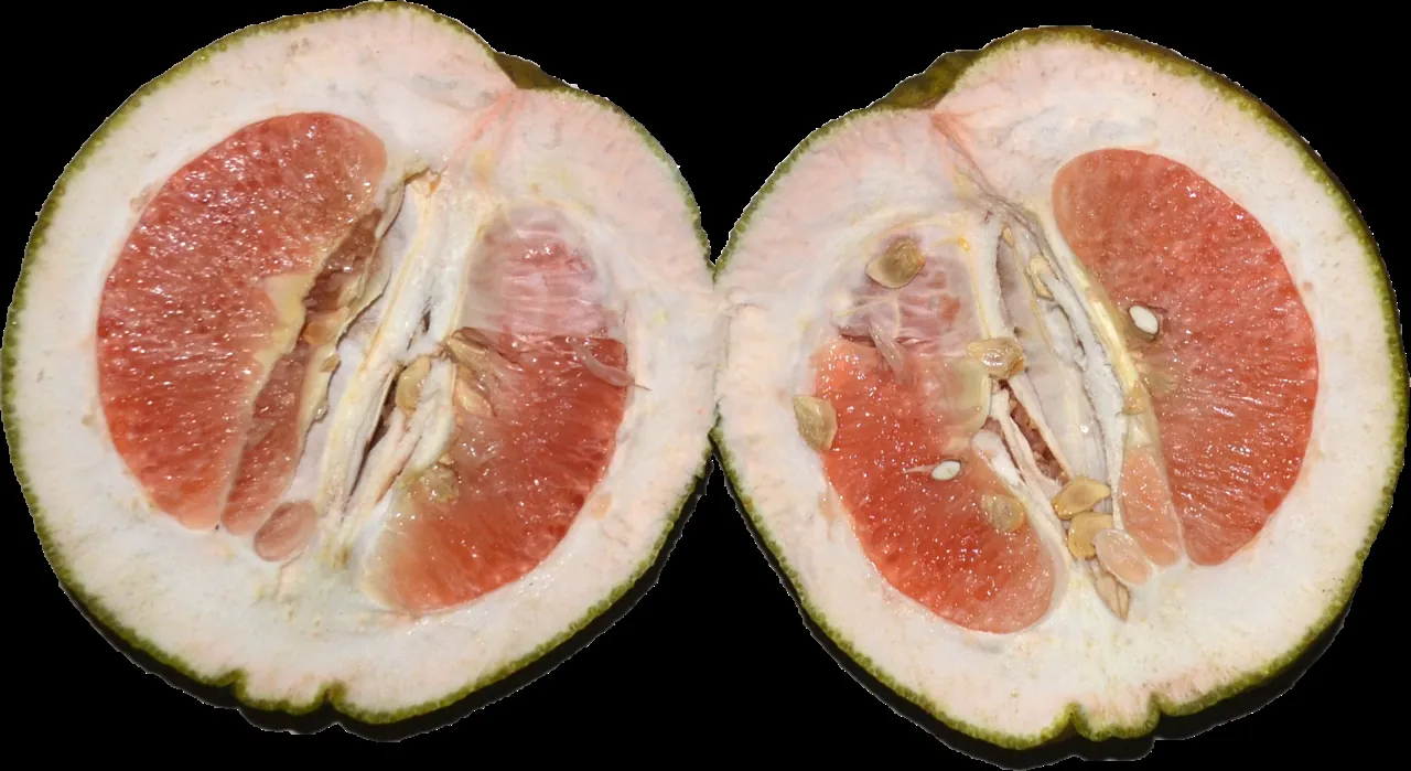 Pomelo — A pomelo cut in half, showing the pink fruit inside.