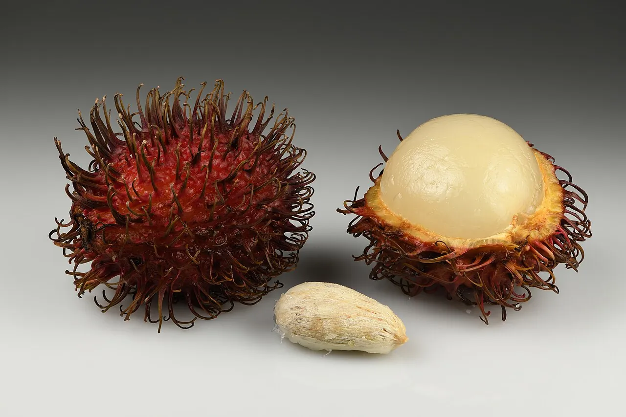 Rambutan — A rambutan opened, showing the white fruit and the seed inside.