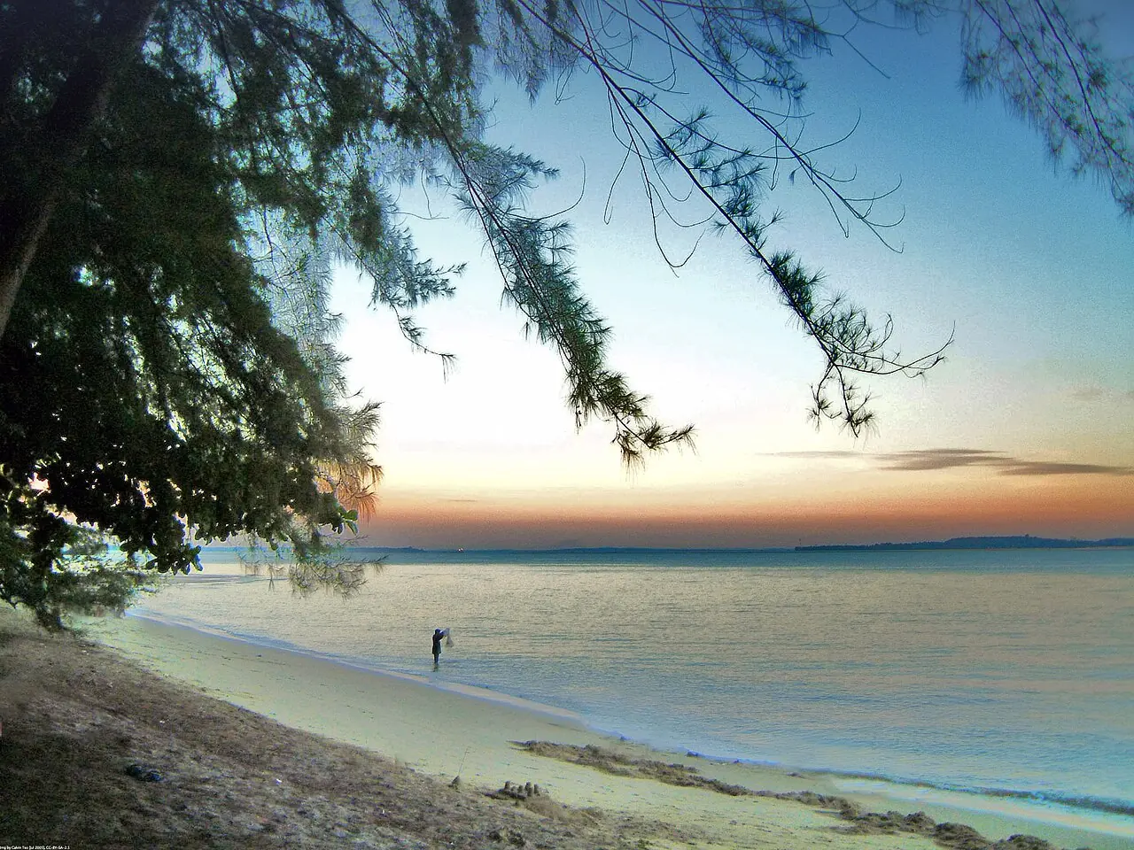 Tree branches frame a quiet sandy beach and a person standing in the shallow water at sunset.