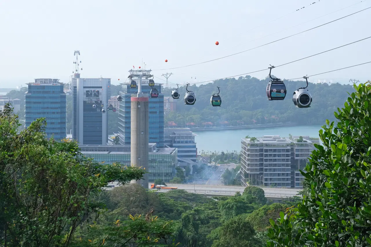 Cable cars cross the sky above trees and city buildings.