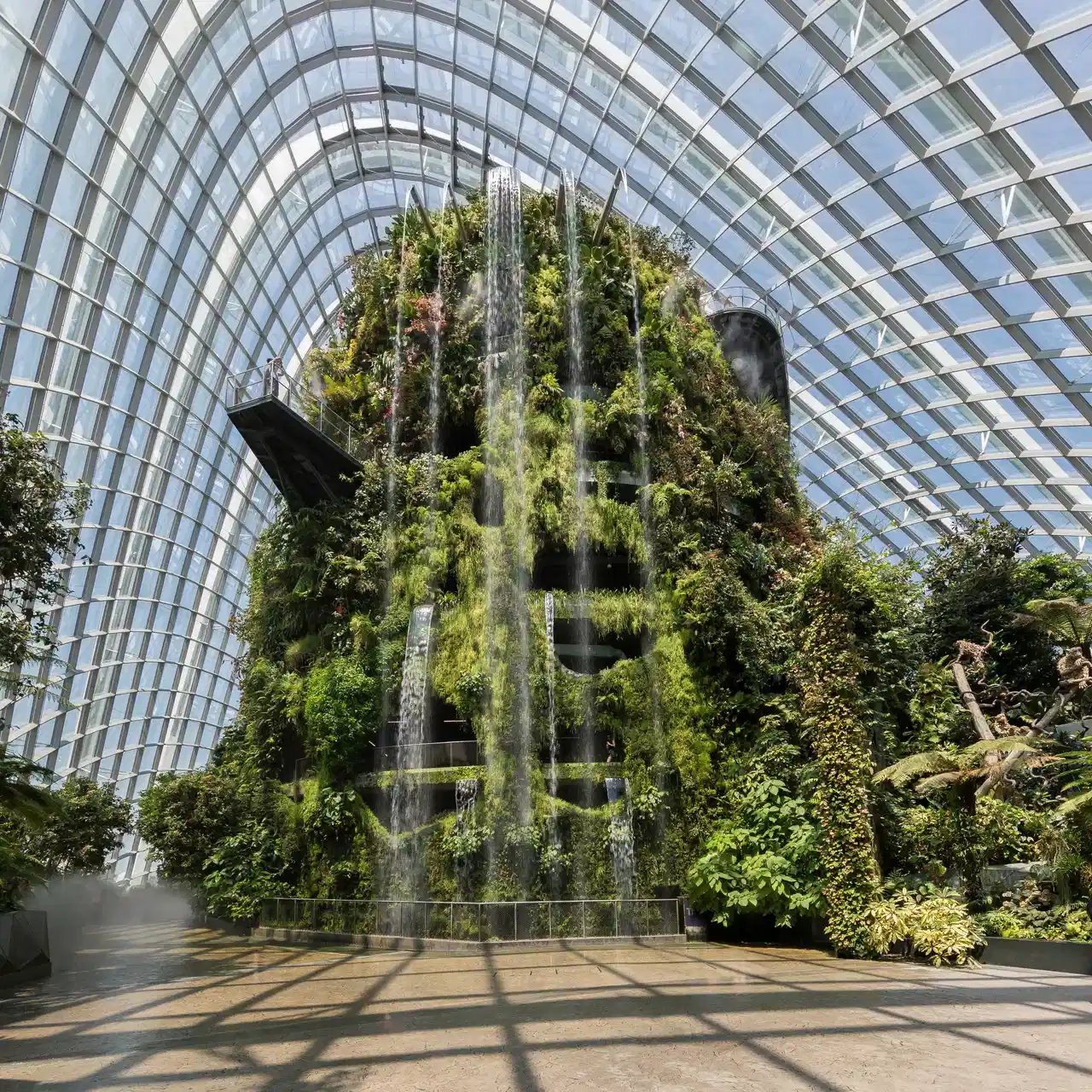 A planted indoor hill rises under the glass roof of Cloud Forest.