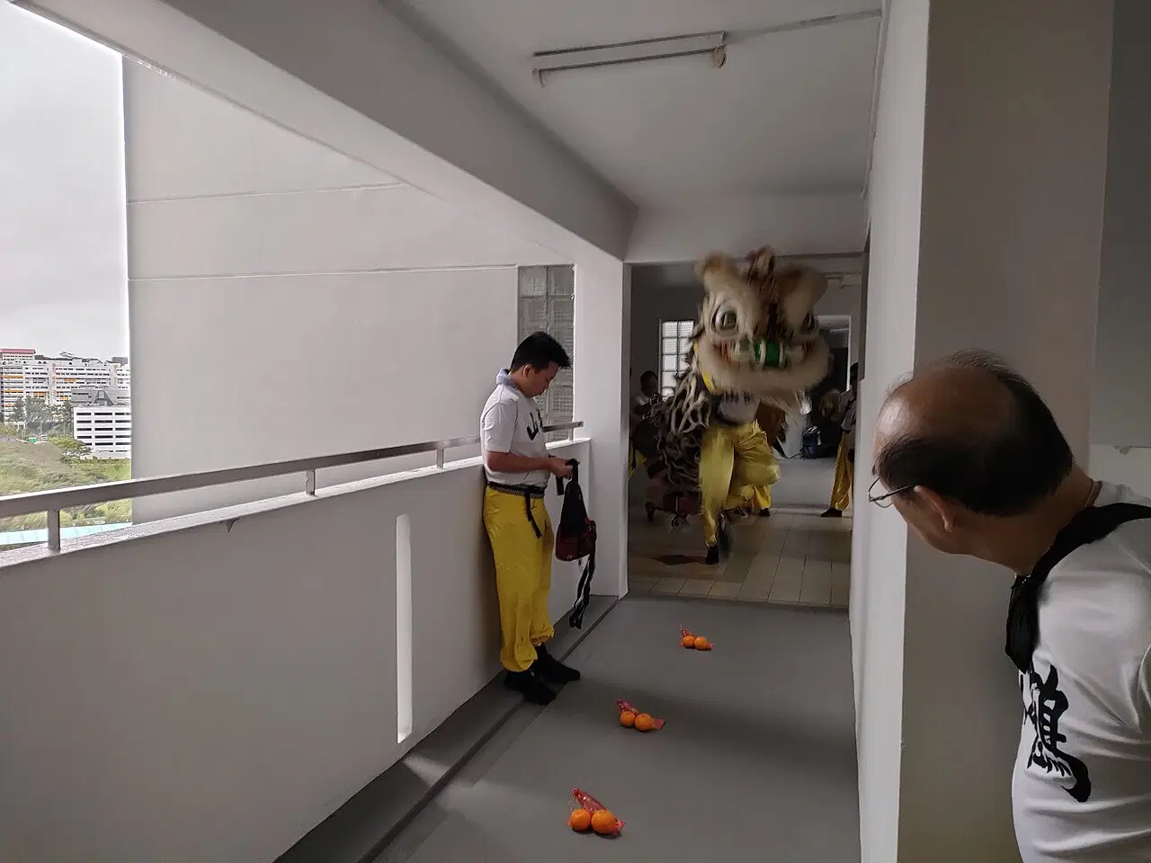A lion-dance costume and people stand in a bright HDB corridor.