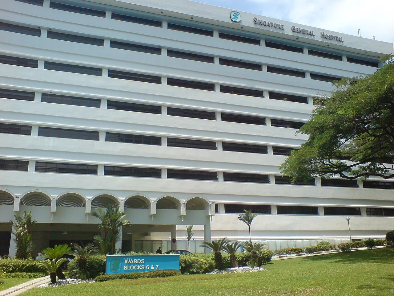 A white multi-storey hospital building with 'Singapore General Hospital' signage above a sign reading 'Wards Blocks 6 & 7'.