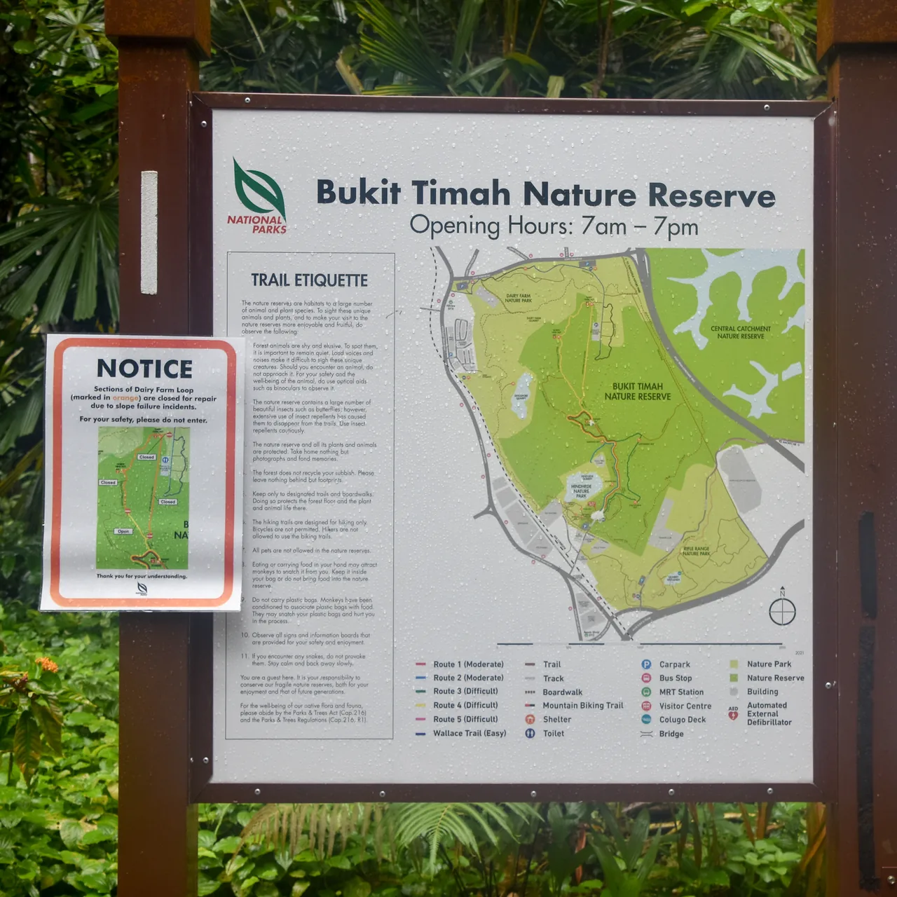 A map board marks Bukit Timah Nature Reserve among trees.