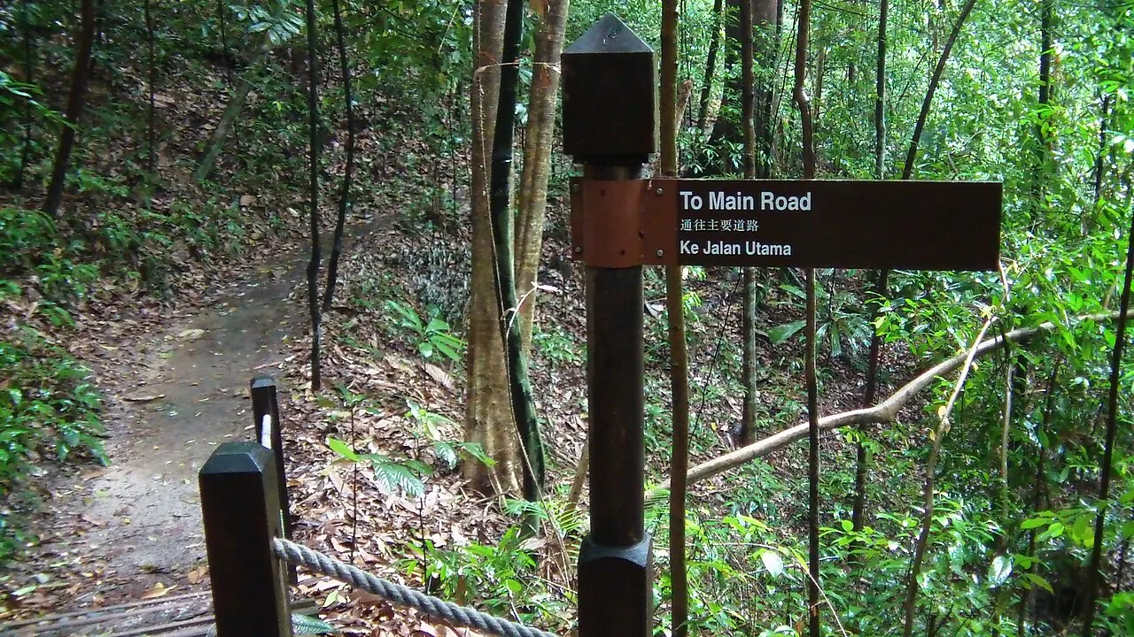 Nature reserve — Photographed in Singapore