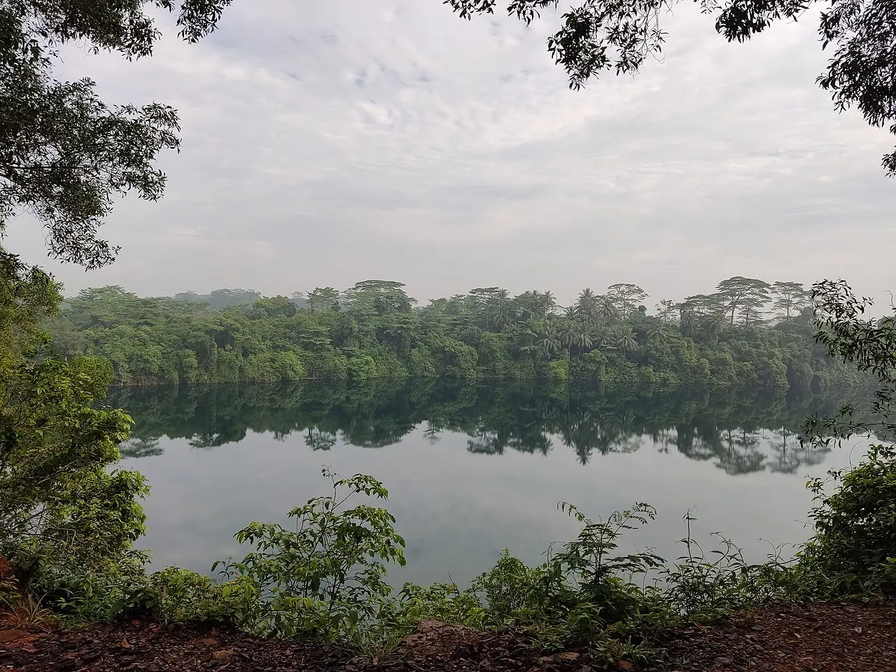 A calm quarry lake reflecting dense forest under an overcast sky, framed by foreground foliage.