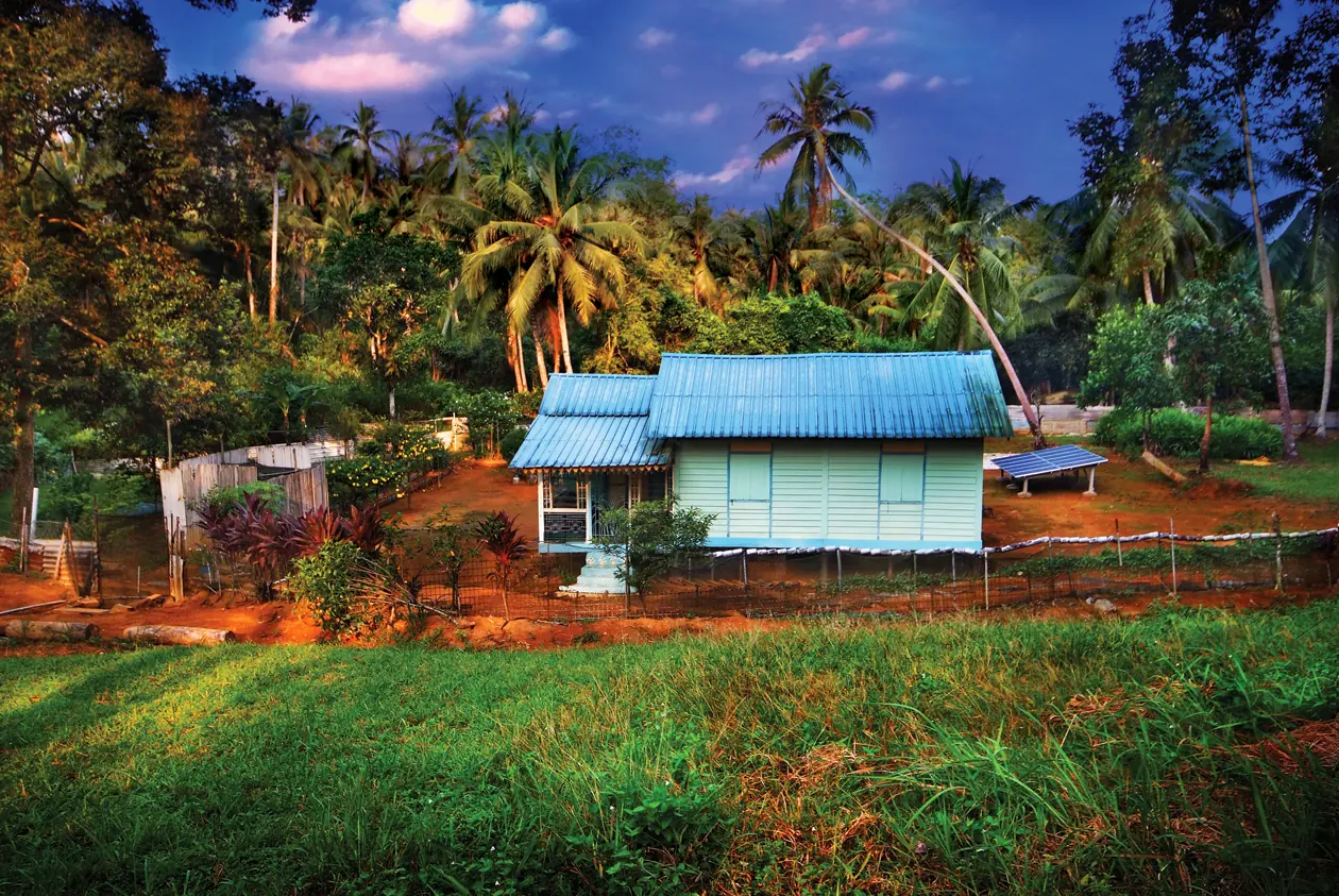 A blue-roofed kampong house with a solar panel stands among coconut palms and grassy red-earth ground.