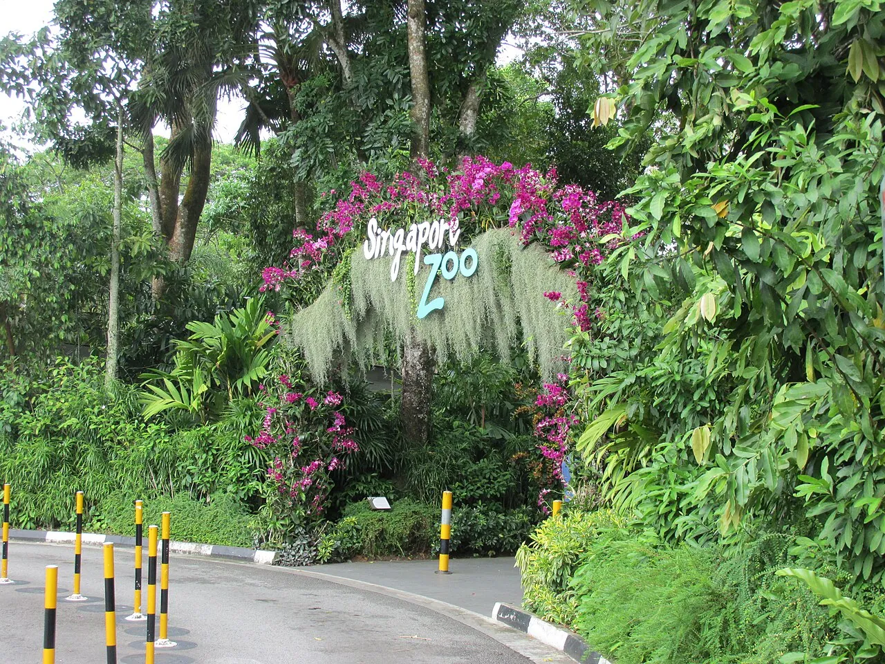 Zoo — Photographed in Singapore