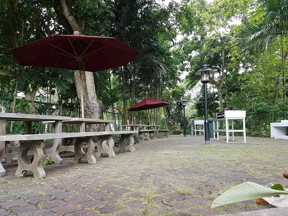 Stone barbecue tables and benches with red umbrellas under trees.