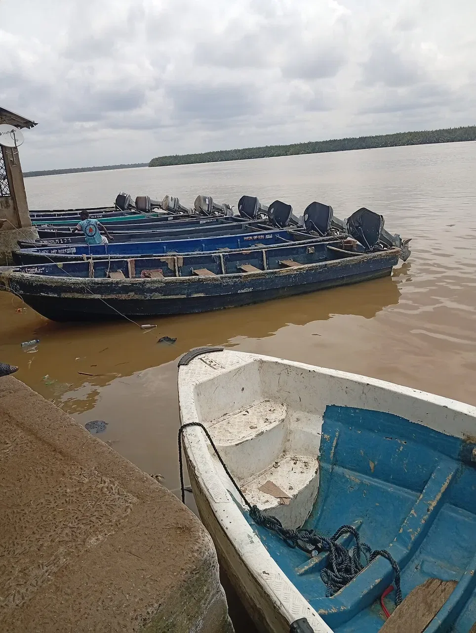 Several blue boats with outboard motors moored at a riverbank.