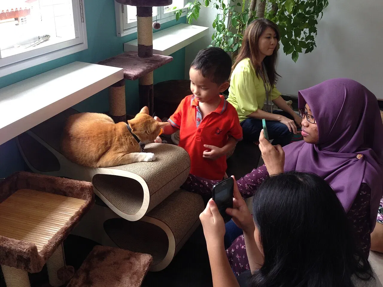A boy in a red shirt strokes an orange cat resting on a cardboard scratching stand.