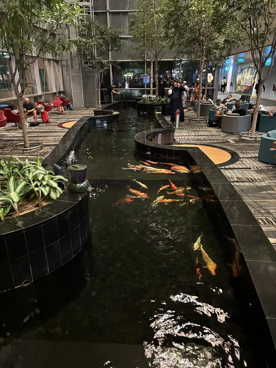 Koi fish swim in a dark indoor pond surrounded by trees, seating, and travelers inside an airport terminal.